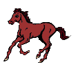 fart dot horse